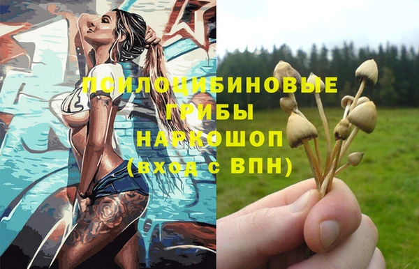 a pvp Беломорск