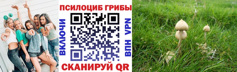 Галлюциногенные грибы мухоморы  Кирс 